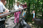 Hartley's Crocodile Adventures